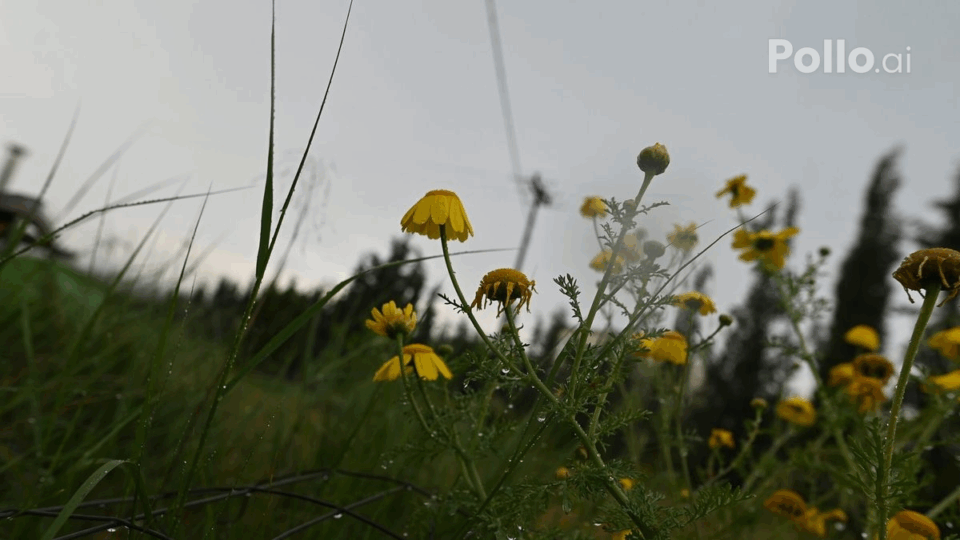 88a5ad8ff3063ed947b6d9a90dfa964d no watermark